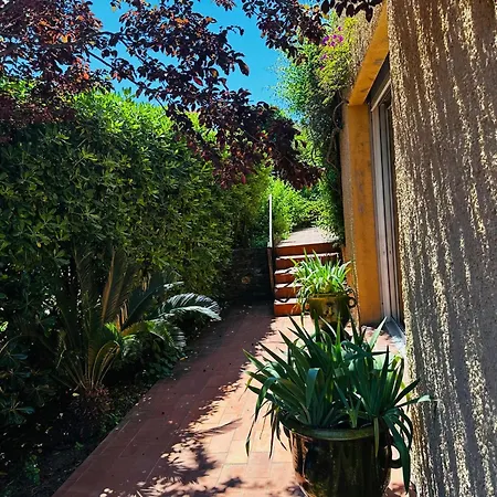 Charmante Maison Securisee Avec Piscine A - Fr-1-309-454 Collioure