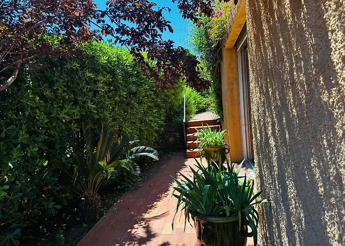 Charmante Maison Securisee Avec Piscine A - Fr-1-309-454 Collioure